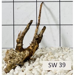 Stump wood 39
