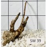Stump wood 39