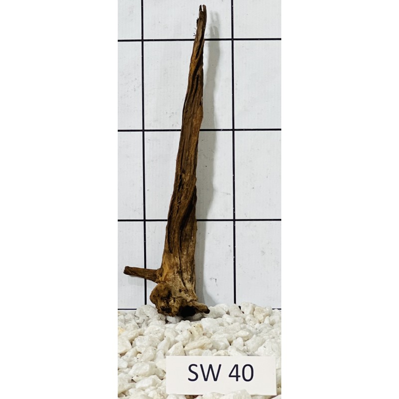 Stump wood 40