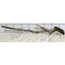 Stump wood 41