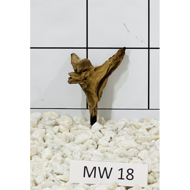 Mangrovewood 18