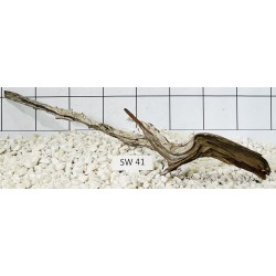Stump wood 41