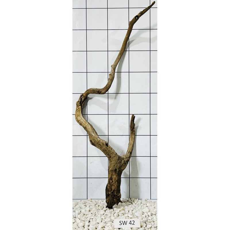 Stump wood 42