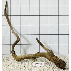 Stump wood 42
