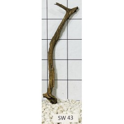 Stump wood 43