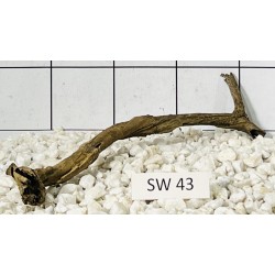Stump wood 43
