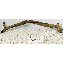 Stump wood 43
