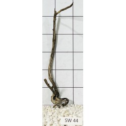 Stump wood 44