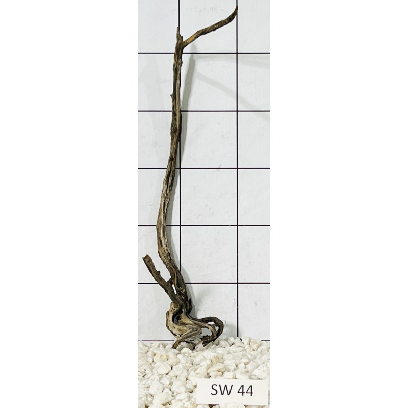 Stump wood 44