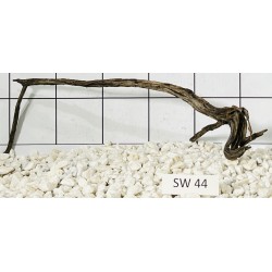 Stump wood 44