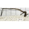 Stump wood 44