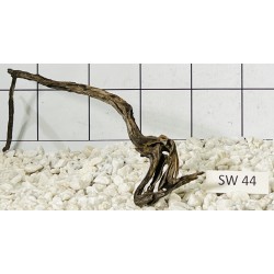 Stump wood 44