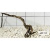 Stump wood 44