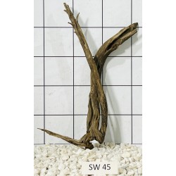 Stump wood 45