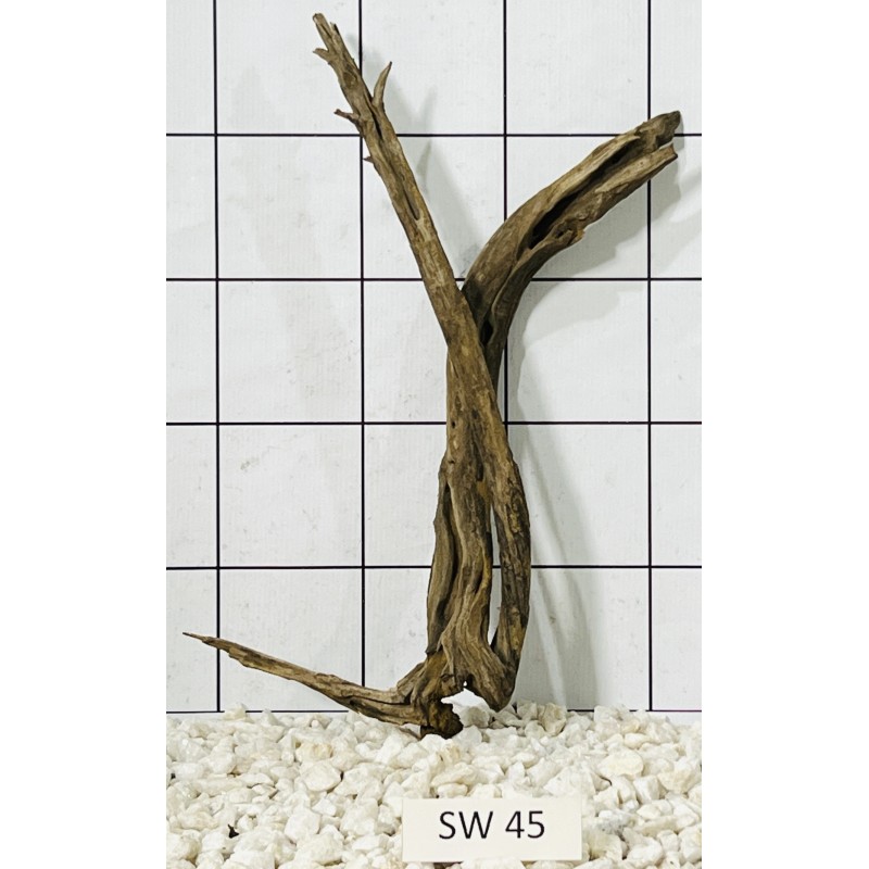 Stump wood 45