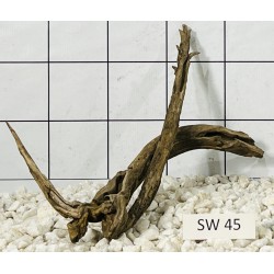 Stump wood 45