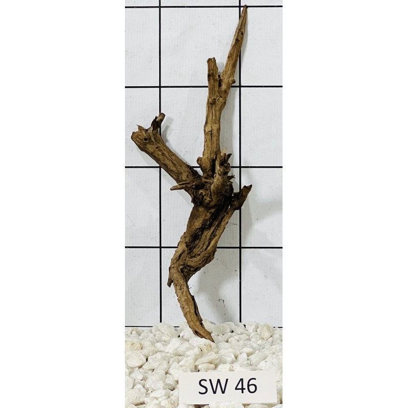 Stump wood 46