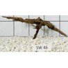Stump wood 46