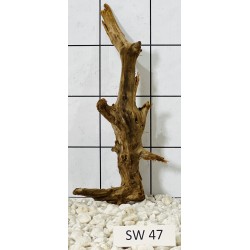 Stump wood 47