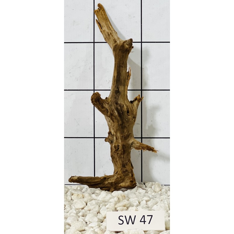 Stump wood 47