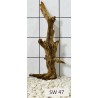 Stump wood 47