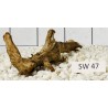 Stump wood 47