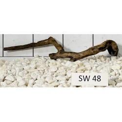 Stump wood 48