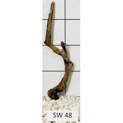Stump wood 48