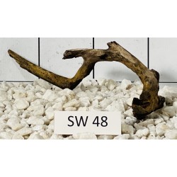 Stump wood 48