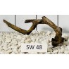 Stump wood 48