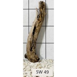 Stump wood 49