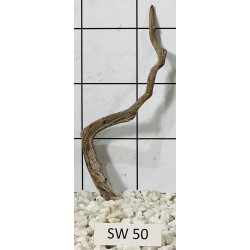 Stump wood 50