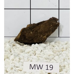 Mangrovewood 19