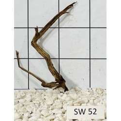 Stump wood 52