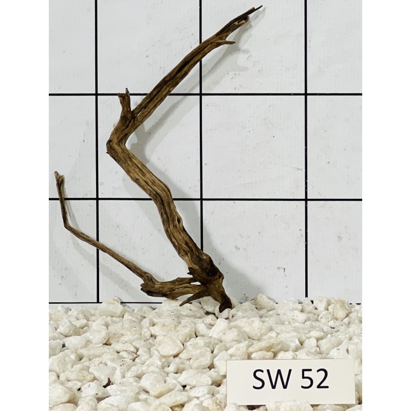 Stump wood 52