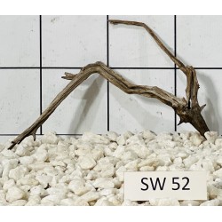 Stump wood 52
