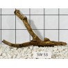 Stump wood 53
