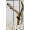 Stump wood 53