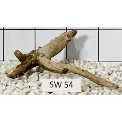 Stump wood 54