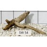Stump wood 54
