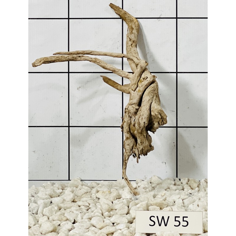 Stump wood 55