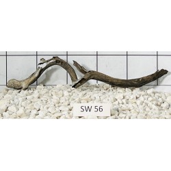 Stump wood 56