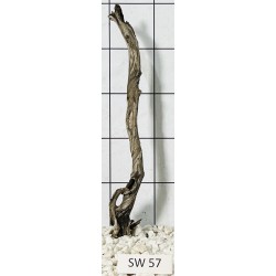 Stump wood 57