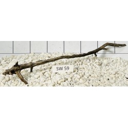 Stump wood 59