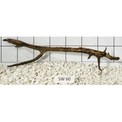 Stump wood 60