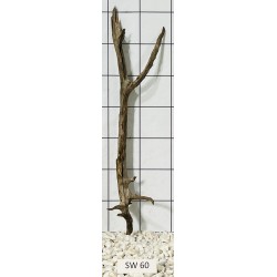 Stump wood 60