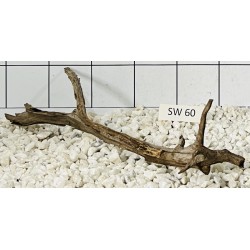 Stump wood 60