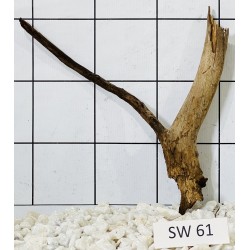 Stump wood 61