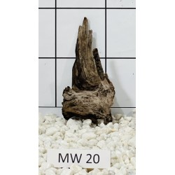 Mangrovewood 20