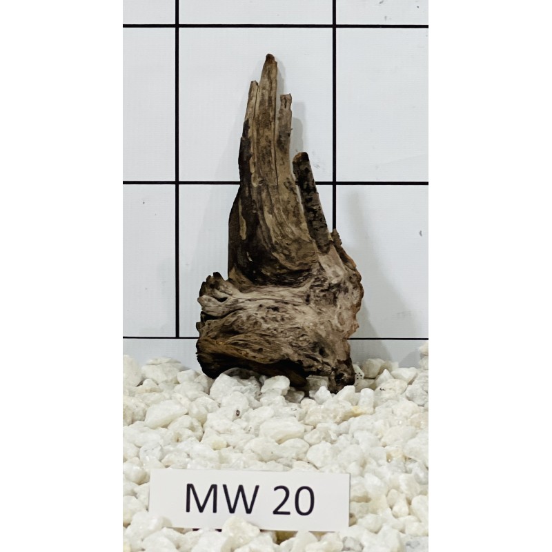 Mangrovewood 20